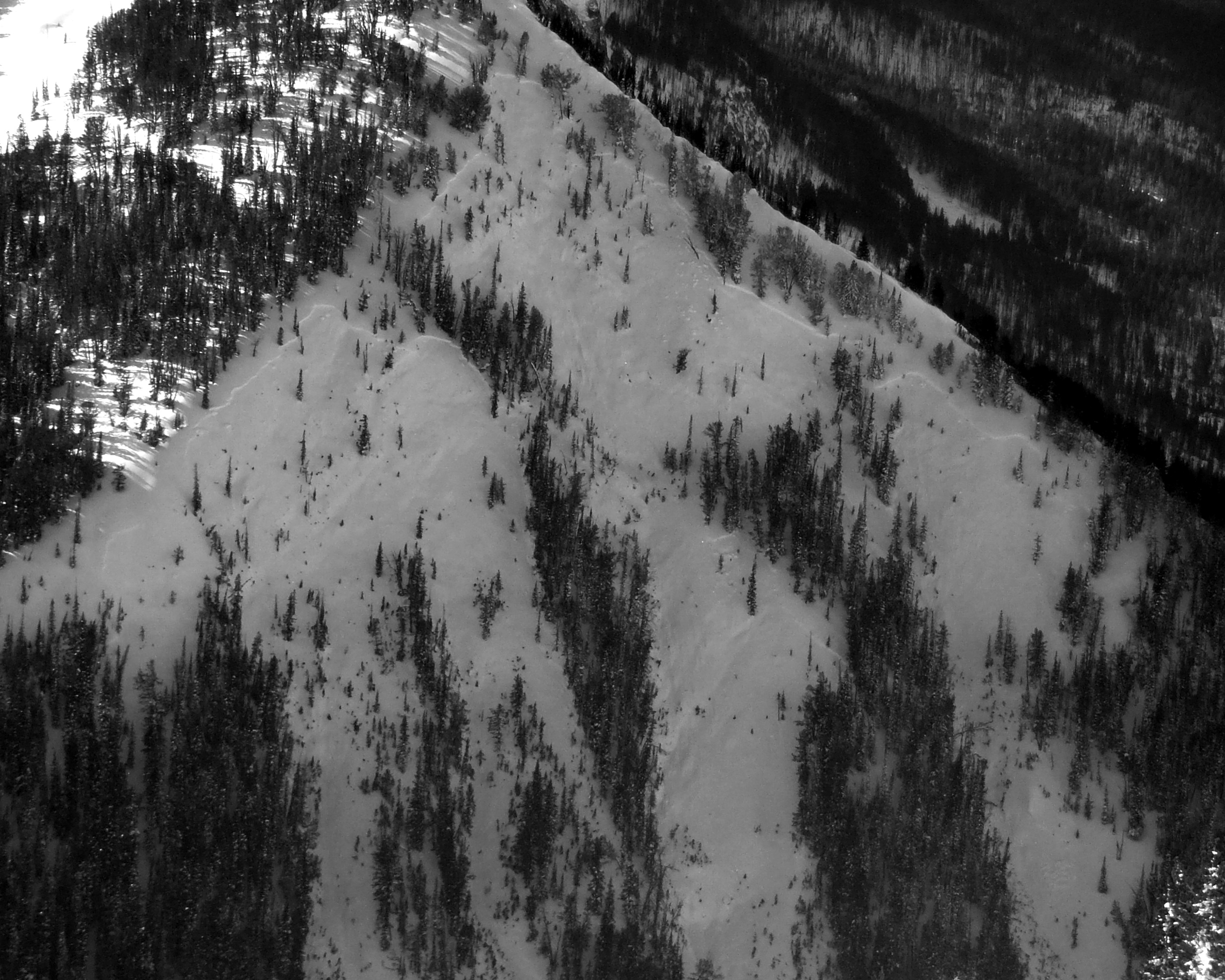 Natural Avalanche - Cooke City