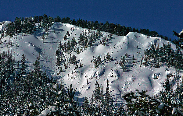 Recent avalanche near Cooke City Recent avalanche near Cooke City