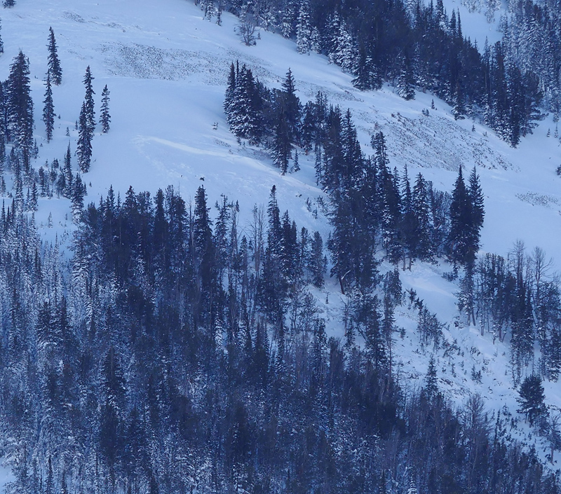 Natural Avalanche Woody Ridge - Cooke City Natural Avalanche Woody Ridge - Cooke City